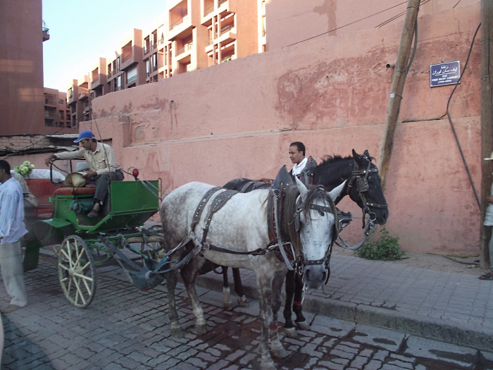 Марокканская петля — 8: Marrakech Night Market (октябрь 2011) - 5