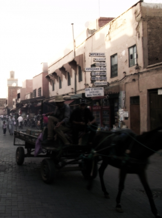 Марокканская петля — 8: Marrakech Night Market (октябрь 2011) - 9